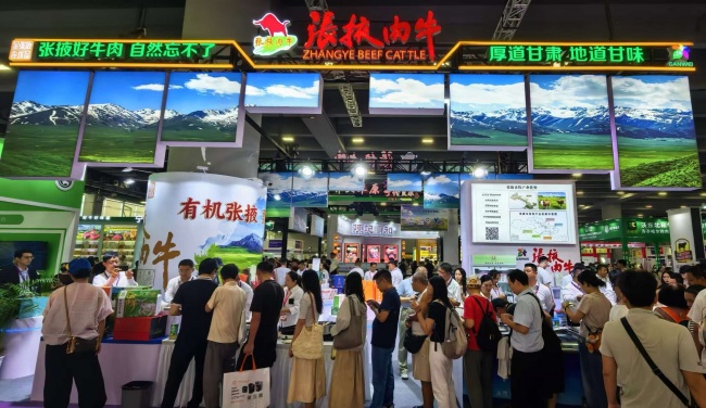张掖养好牛,湾区启“味”来|借力“粤牧优品”通全球肉牛产业交易会,拓宽入湾新路径