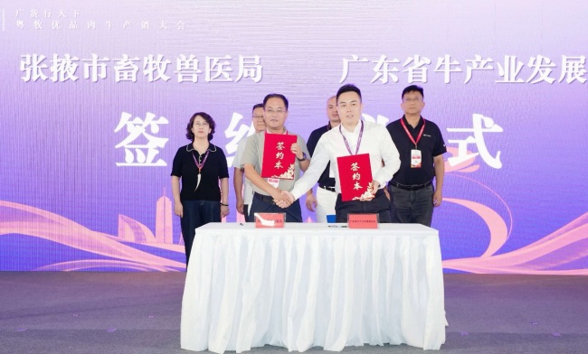 张掖养好牛,湾区启“味”来|借力“粤牧优品”通全球肉牛产业交易会,拓宽入湾新路径