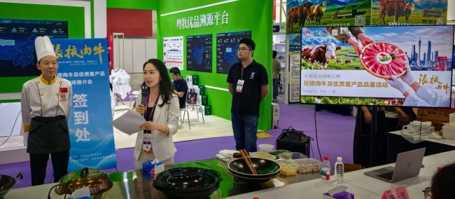 张掖养好牛,湾区启“味”来|借力“粤牧优品”通全球肉牛产业交易会,拓宽入湾新路径
